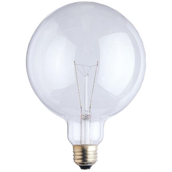 Westinghouse 60 W G40 Globe Incandescent Bulb E26 (Medium) Warm White 3102